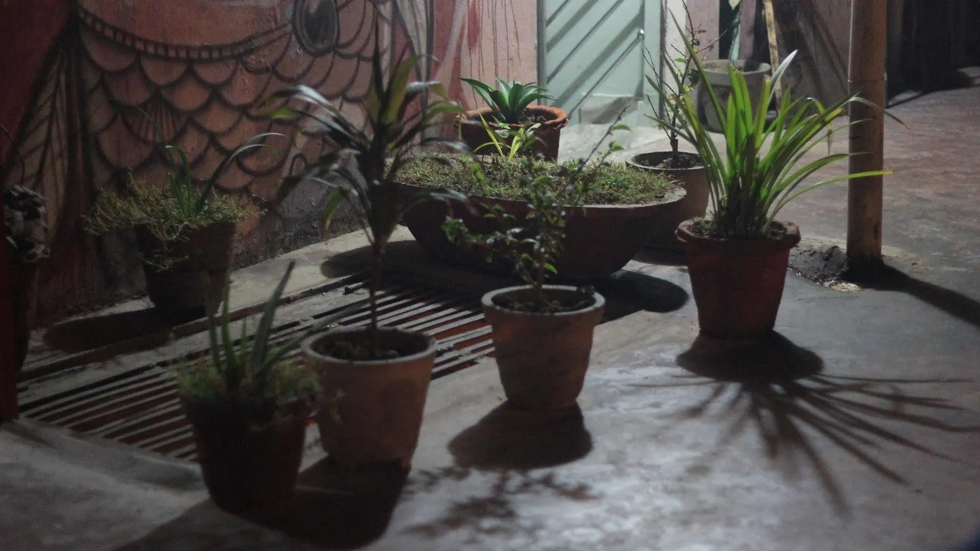 Pyrenees Homestay Agra  4*, Agra (Uttar Pradesh) Indien